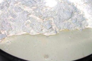 Caseina