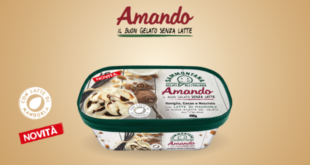 Vaschetta gelato