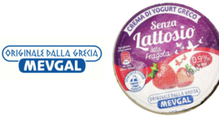 Yogurt greco senza lattosio