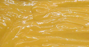 Crema Pasticcera senza Lattosio al Mango e Lime