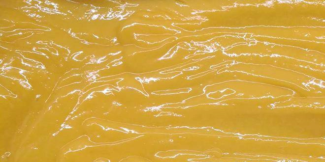 Crema Pasticcera senza Lattosio al Mango e Lime